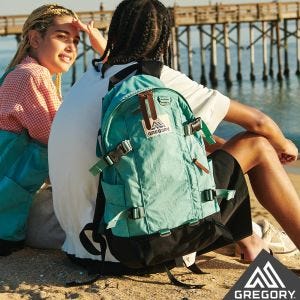 Gregory 22L ALL DAY V2.1 後背包 筆電包 海洋綠