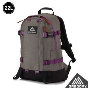 Gregory 22L ALL DAY V2.1 後背包 筆電包 灰/紫