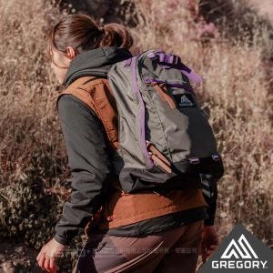 Gregory 16L FINE DAY V2 日系 後背包 電腦包 灰/紫