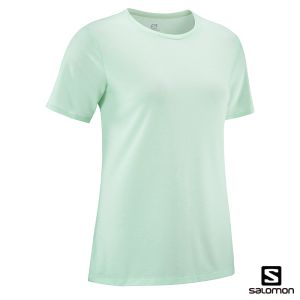 Salomon 女 S/NTIAL CLASSIC 短袖T恤 乳白藍綠