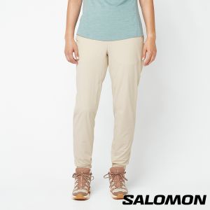Salomon 女 WAYFARER EASE 彈性長褲 灰白