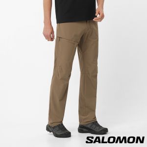 Salomon 男 WAYFARER 彈性長褲 蕈棕