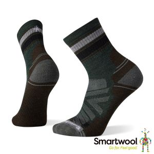 Smartwool 機能戶外全輕量減震條紋中筒襪 深鼠尾草綠