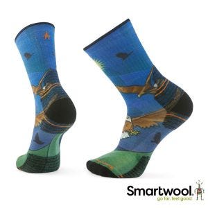 Smartwool 機能 戶外 局部輕量減震 中長襪-Eagle 藍