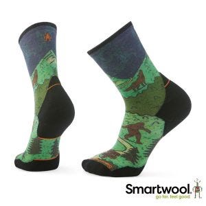 Smartwool  高機能 越野跑 局部輕量減震 中長襪-Nature 暮光藍